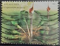 [Aquatic Plants, type AND]