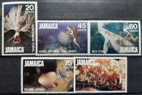 [Marine Life, type SF]