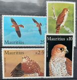 [Mauritius Kestrel, tip OJ]
