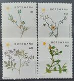 [Flowering Plants of Southeast Botswana, 类型 QE]