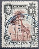 [Giraffe, type C]