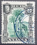 [Giraffe, type C2]