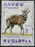 [Menelik´s Bushbuck, type AZF20]
