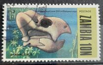 [Prehistoric Animals - Fossils from the Luangwa Area, type CO]