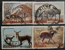 [Local Mammals, tipas JI]