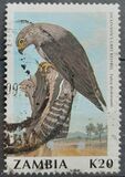 [Birds, type RV]