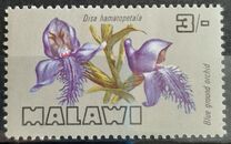 [Orchids of Malawi, type CC]