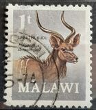 [Decimal Currency - Antelopes, タイプ CX]