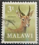 [Decimal Currency - Antelopes, タイプ CZ]