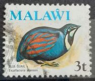 [Birds, type FO]