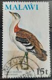 [Birds, type FS]