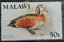 [Birds, type FZ]