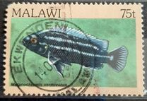[Fish, type MQ]
