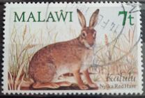 [Small Mammals, tip MU]