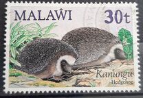 [Small Mammals, tip MW]