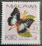 [Butterflies, type XXL]