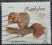 [Small Mammals, type HN]