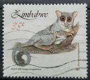 [Small Mammals, type HO]