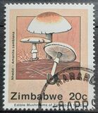 [Edible Mushrooms, type IM]