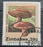 [Edible Mushrooms, type IN]