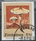 [Edible Mushrooms, type IO]