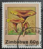 [Edible Mushrooms, type IP]