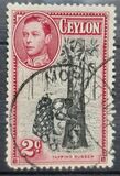 [King George VI - Local Motives, 類型 BM]