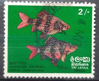 [Fish, Typ G]