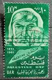 [Palestine Day, type CN]