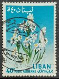 [Airmail - Flowers, type KV]