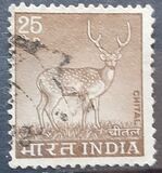 [Spotted Deer, type PE]