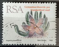 [Flora - Succulents, type ACO]