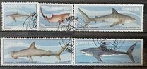 [Sharks, тип AL]