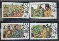 [Banana Cultivation, 유형 AD]