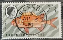 [Fish, type CA]