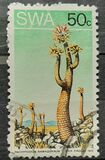 [Desert Plant, tip EG]