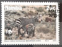 [Endangered Species - Mountain Zebra, タイプ AJ]