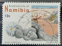 [Flora and Fauna - Biodiversity of Namibia, タイプ UB]