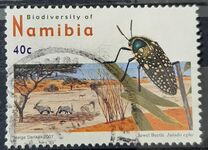 [Flora and Fauna - Biodiversity of Namibia, タイプ UD]