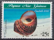 [Sea Shells, tip AEC]