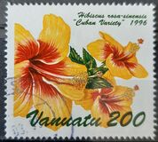 [Hibiscus Flowers, 類型 QH]