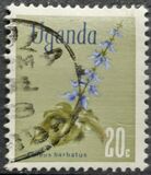 [Flowers, type AT]