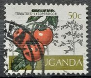 [Cultivos de Uganda., tipo BJ]