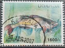 [Fish of Lake Victoria, type CNI]
