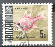 [Marine Life - Fish, тип Q]