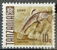 [Marine Life - Fish, тип R]