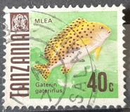 [Marine Life - Fish, type V]