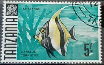 [Marine Life - Fish, type AD]