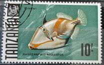 [Marine Life - Fish, type AE]