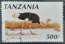 [Birds, type ABZ]